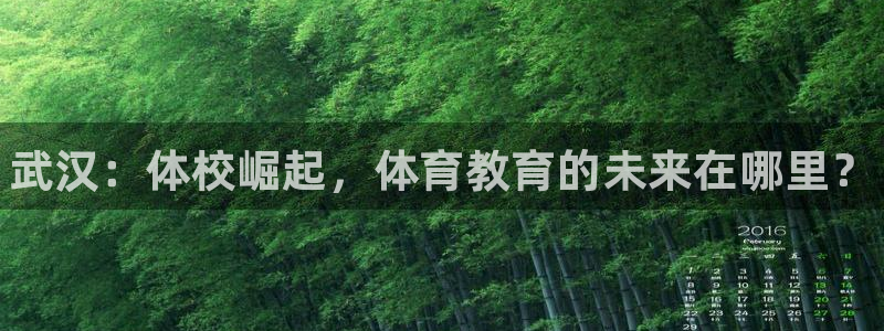 凯发官方正版app集团官网首页：武汉：体校崛起，体育