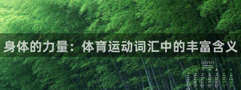 凯发官网下载软件：身体的力量：体育运动词汇中的丰富含