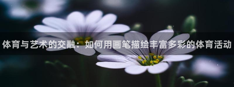 凯发官网下载平台假的吗是真的吗：体育与艺术的交融：如