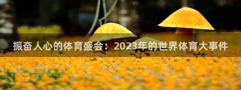 凯发官网下载联系电话：振奋人心的体育盛会：2023年