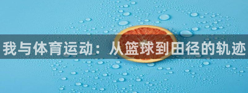 德国凯发官方正版app集团：我与体育运动：从篮球到田