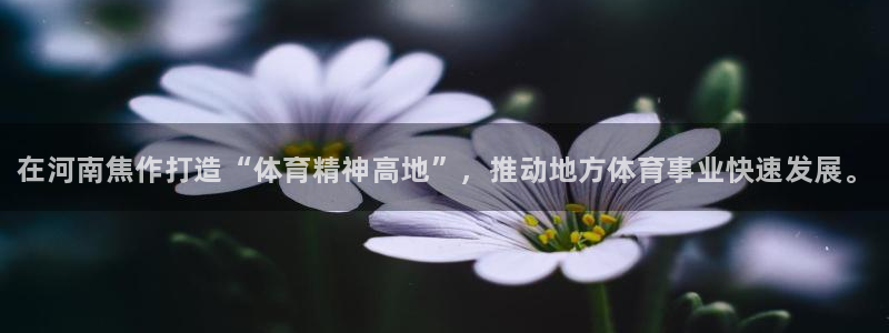 凯发官网下载平台APP：在河南焦作打造“体育精神高地