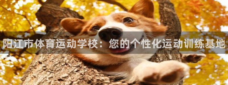 凯发官网下载平台是正规平台吗知乎：阳江市体育运动学校