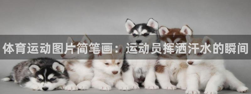 凯发官网下载娱乐：体育运动图片简笔画：运动员挥洒汗水