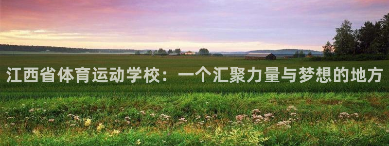 凯发官网下载：江西省体育运动学校：一个汇聚力量与梦想的地方