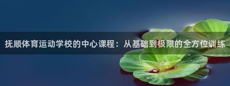 凯发官网下载招商电话是多少：抚顺体育运动学校的中心课