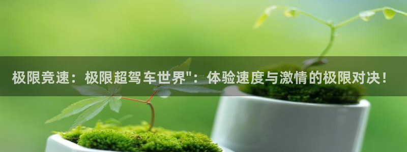 凯发官网下载平台假的吗是真的吗吗：极限竞速：极限超驾
