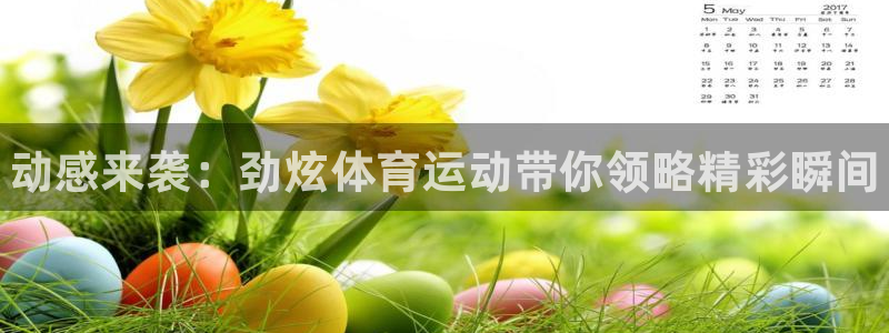凯发官网下载平台注册要钱吗：动感来袭：劲炫体育运动带