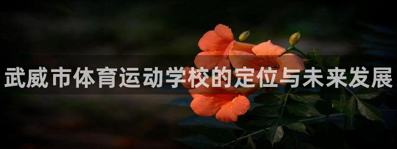 凯发官网下载平台是正规平台吗知乎：武威市体育运动学校