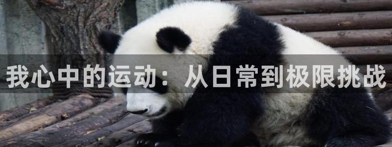 凯发官网下载平台注册要钱吗是真的吗：我心中的运动：从日常到极