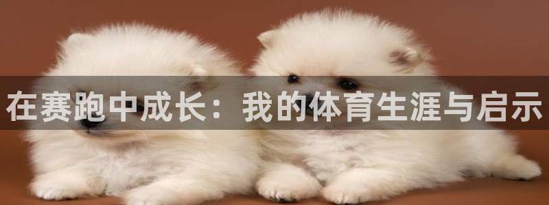 凯发官方正版app娱乐下载：在赛跑中成长：我的体育生