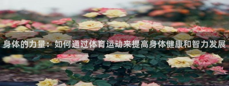 凯发官方正版app娱乐40996：身体的力量：如何通