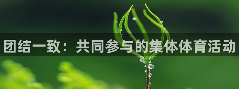 海南凯发官网下载发展怎么样：团结一致：共同参与的集体体育活动