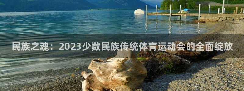 凯发官方正版app开户：民族之魂：2023少数民族传