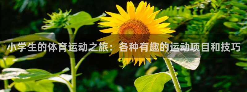 凯发官网下载平台注册要钱吗是真的吗:小学生的体育运动之旅:各