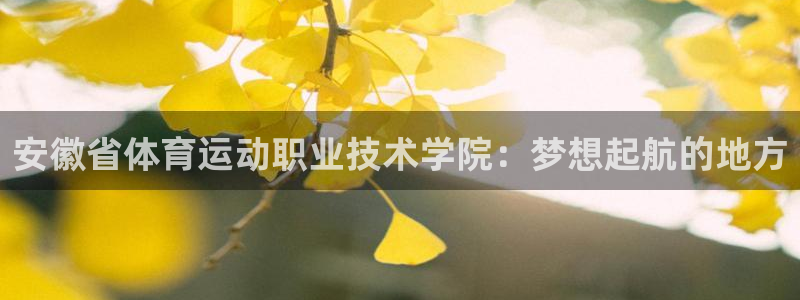 凯发官网下载招商电话号码是多少啊：安徽省体育运动职业技术学院