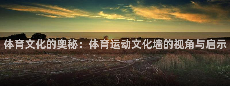 凯发官方平台体育