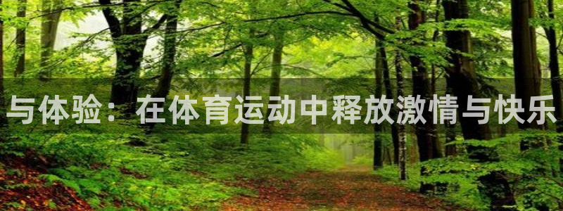 凯发官方正版app集团：与体验：在体育运动中释放激情与快乐