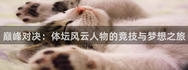 德国凯发官方正版app集团：巅峰对决：体坛风云人物的竞技与梦