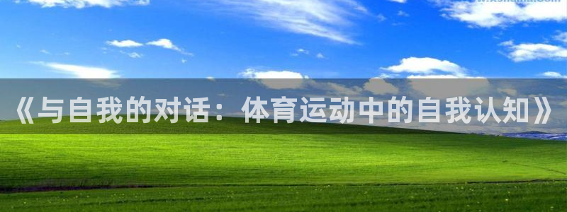 凯发官方正版app娱乐是那个系列的台子：《与自我的对话：体育