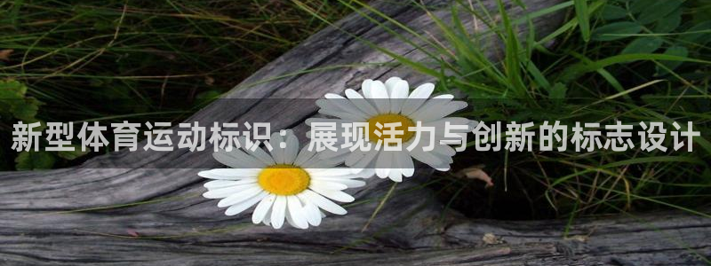 凯发官方正版app新能源