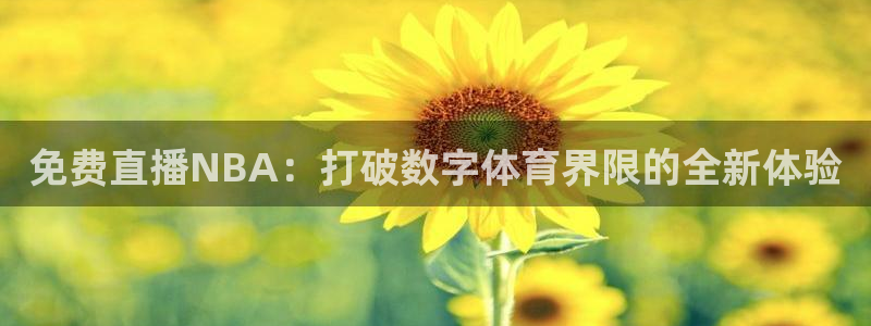 绿茵直播体育在线：免费直播NBA：打破数字体育界限的全新体验