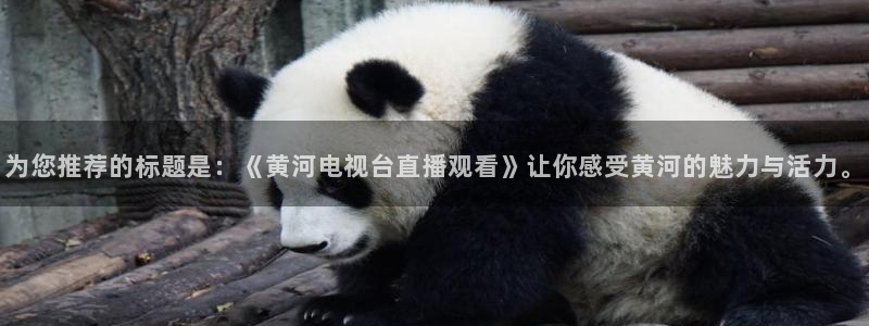 绿茵足球直播晚晚：为您推荐的标题是：《黄河电视台直播观看》让你感受黄河的魅力与活力。