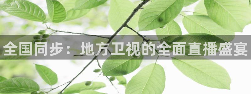 绿茵体育频道在线直播：全国同步：地方卫视的全面直播盛宴