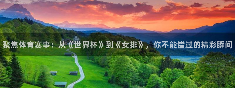 绿茵直播足球：聚焦体育赛事：从《世界杯》到《女排》，你不能错过的精彩瞬间