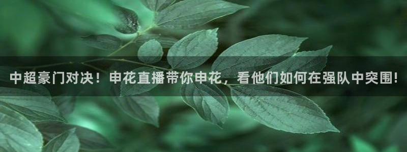 球球看绿茵：中超豪门对决！申花直播带你申花，看他们如何在强队中突围!
