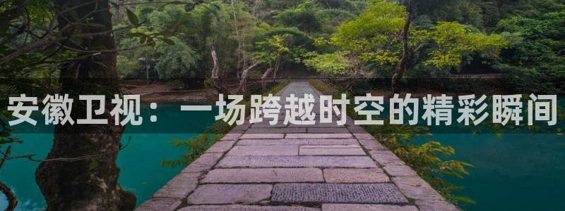 绿茵吧足球网：安徽卫视：一场跨越时空的精彩瞬间